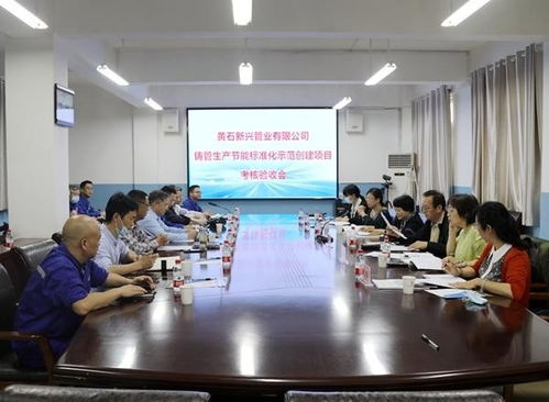 黃石新興管業 以國家節能標準化示范項目為新起點，引領新興能源技術研發新篇章