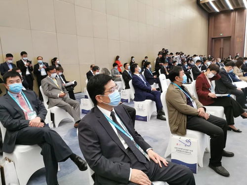 碩果累累 陳平市長率團赴上海進博會招商，聚焦新興能源技術(shù)研發(fā)